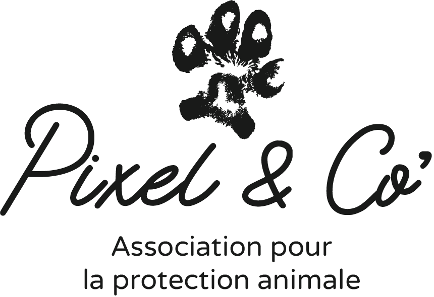 Logo association pour la protection animale